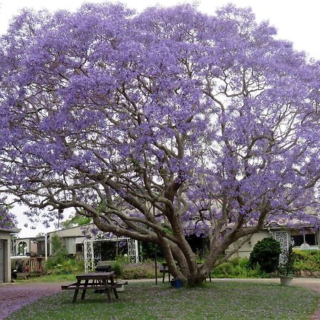 Ecotel Narooma North Narooma Luaran gambar