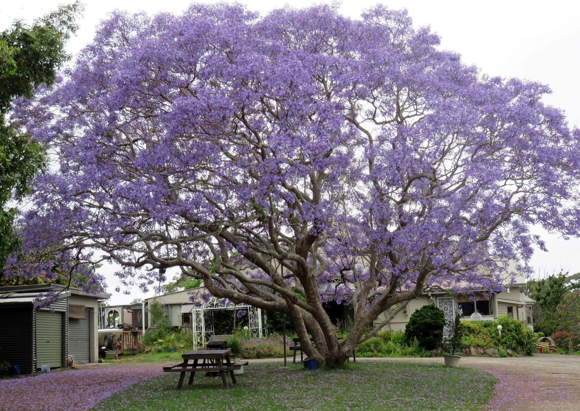 Ecotel Narooma South Coast Luaran gambar