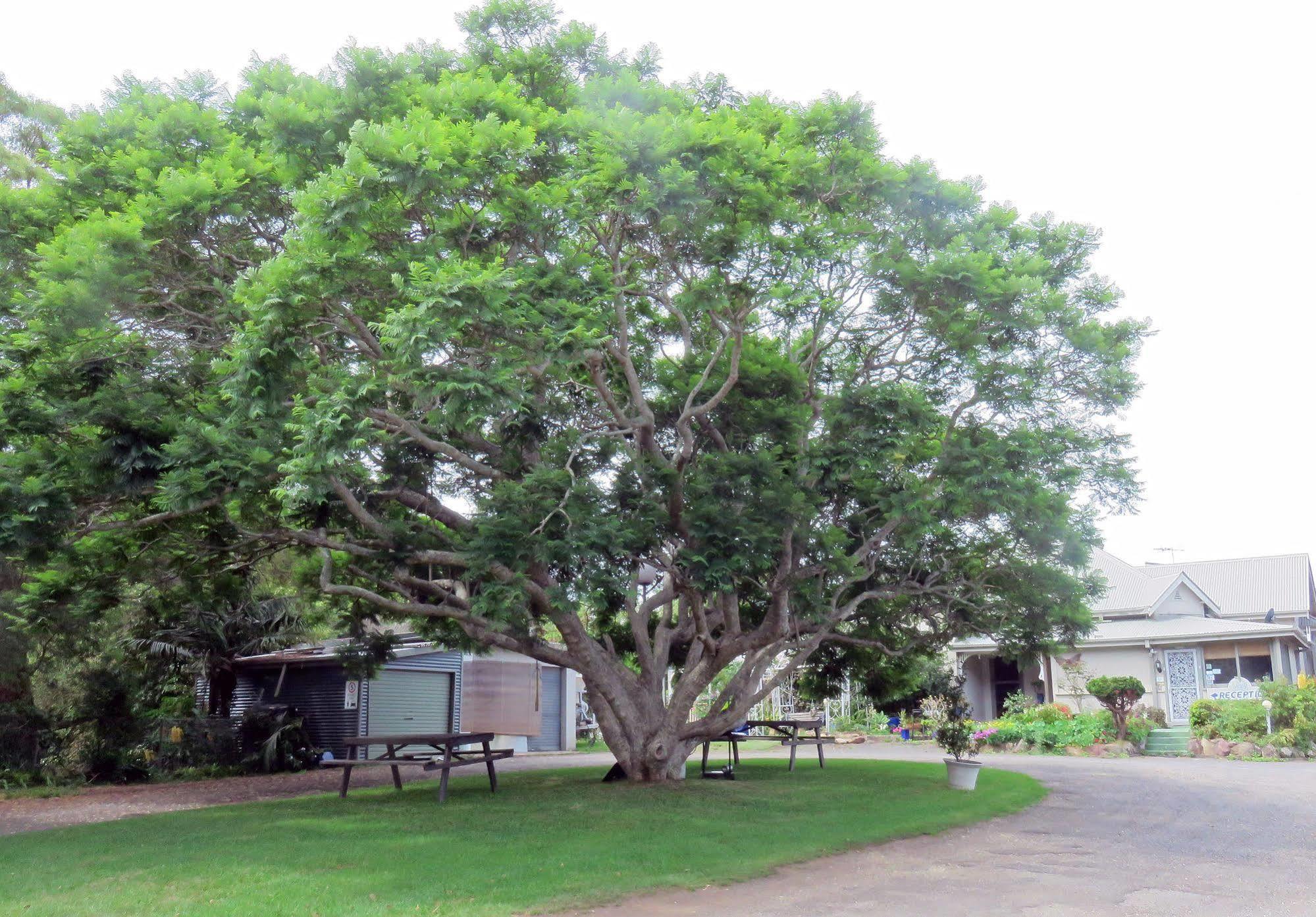 Ecotel Narooma North Narooma Luaran gambar