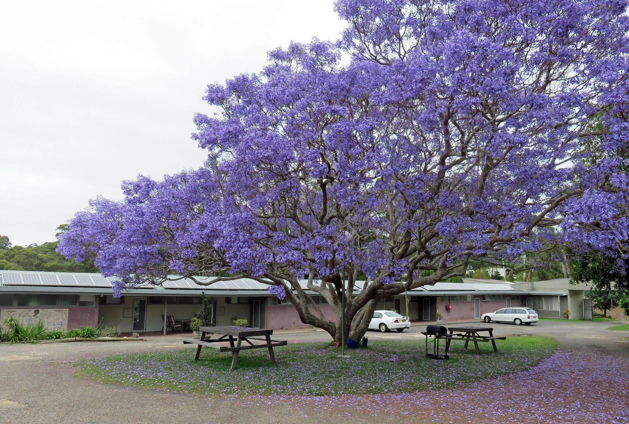 Ecotel Narooma North Narooma Luaran gambar